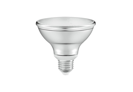PAR30 E27 8W 2700K DİMLENEBİLİR LED